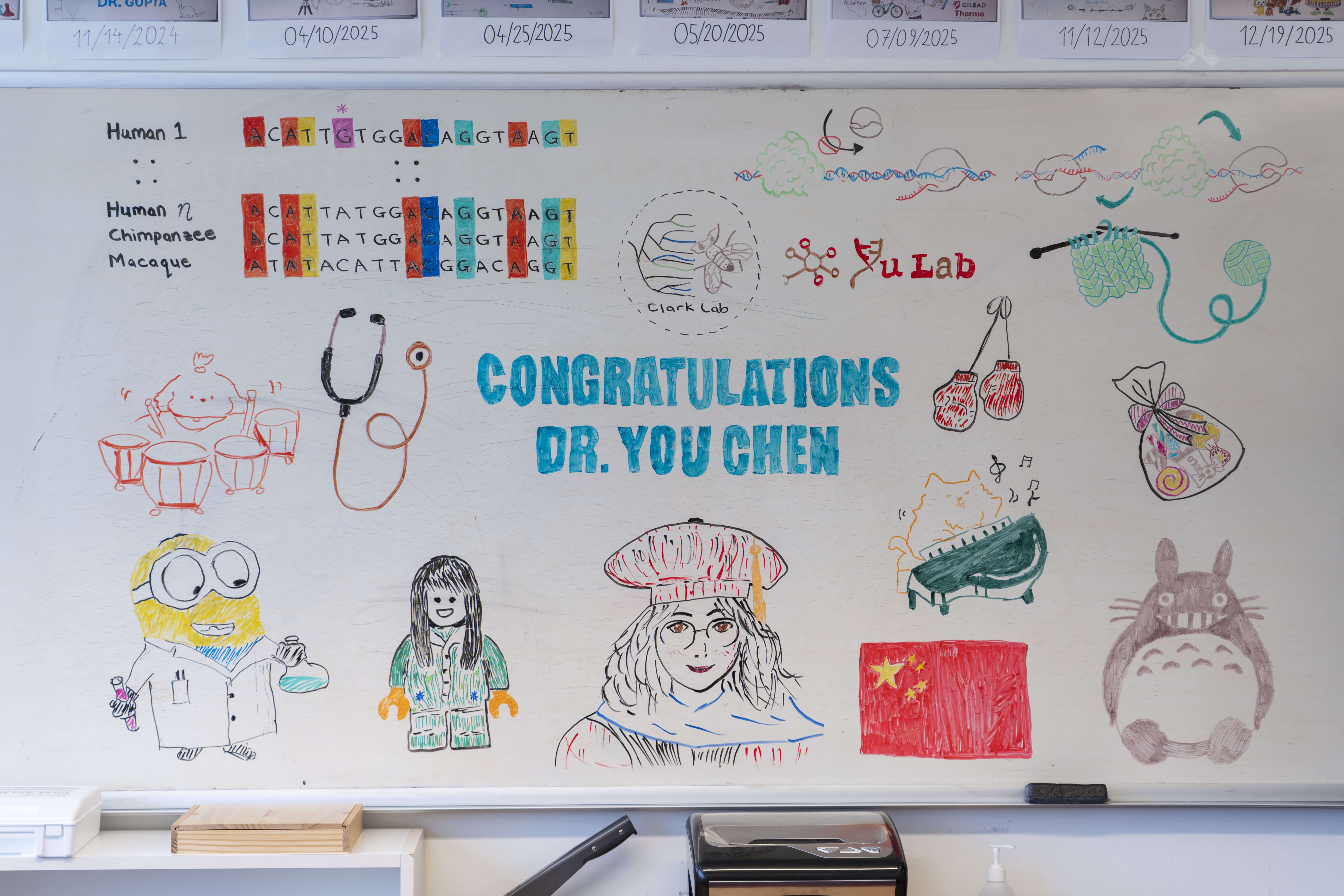 Congratulations Dr. Chen !!! image 1